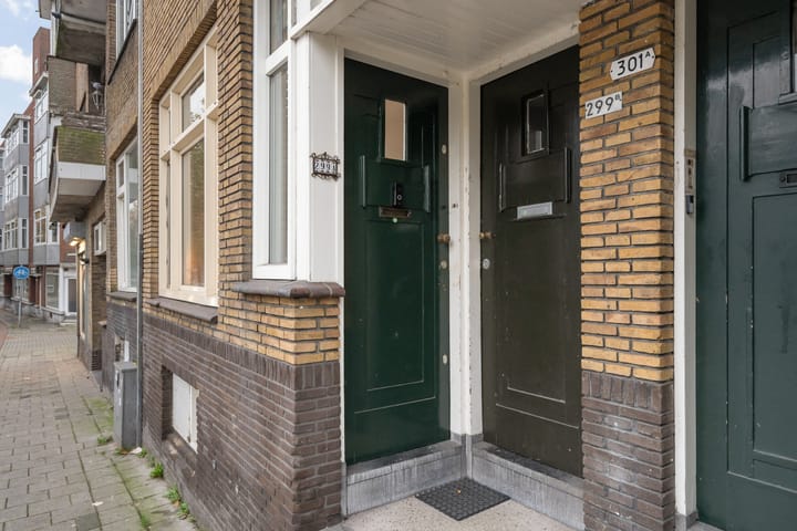 Photo 51 of Nieuwe Haven 299-A