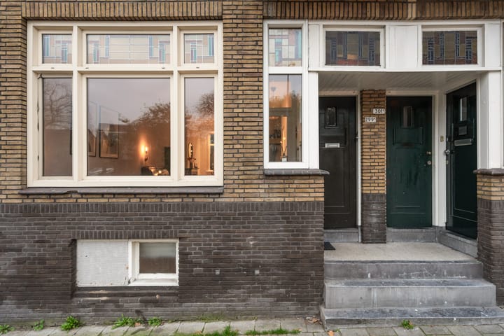 Photo 52 of Nieuwe Haven 299-A