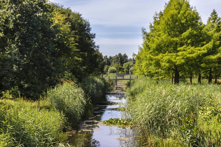 Bekijk foto 27 van Parkzichtlaan 77