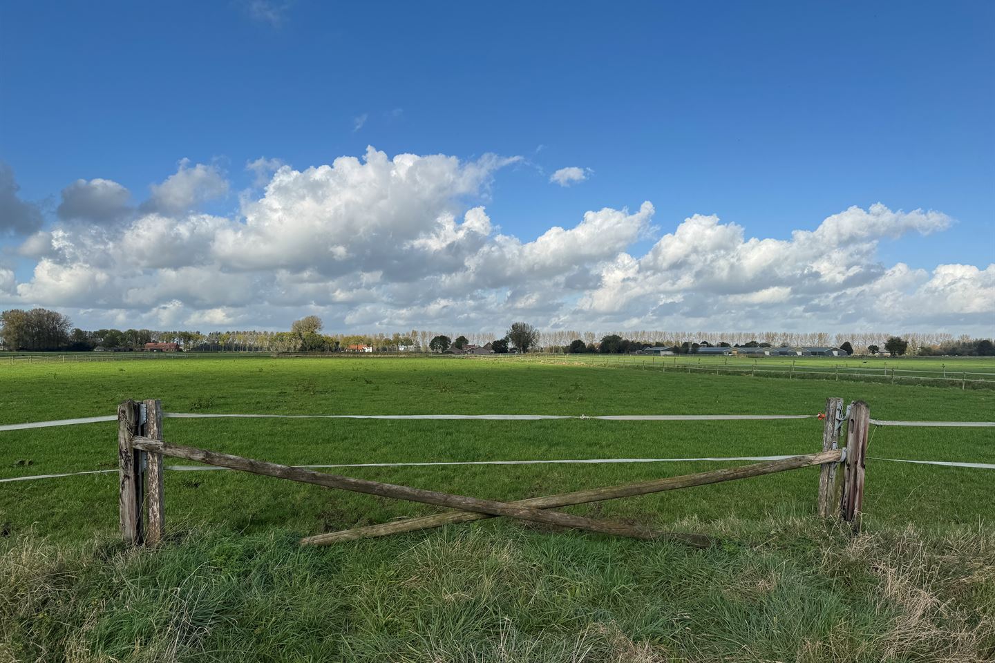 Bekijk foto 4 van Zegeweg 3