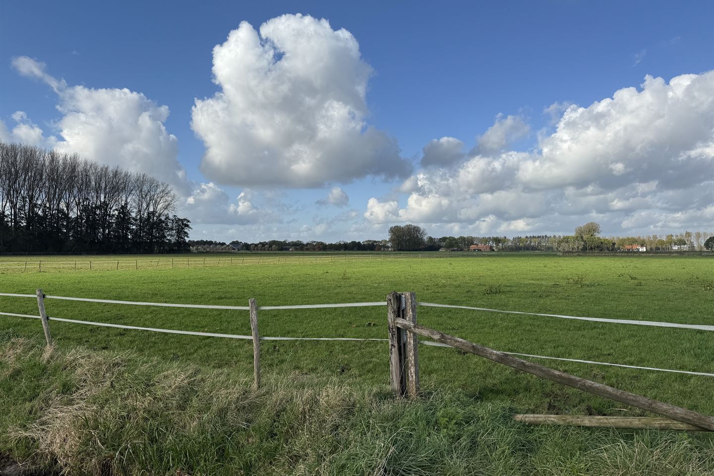 Bekijk foto 5 van Zegeweg 3