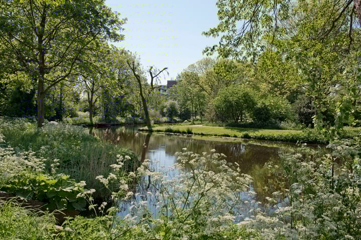 Photo 27 of Els van Roodenstraat 37