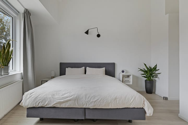 Foto 19 van Dalkruid 4