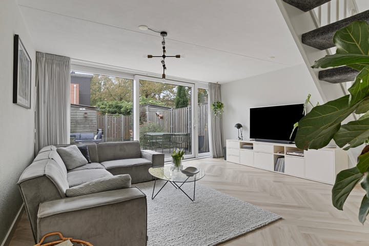 Foto 3 van Dalkruid 4