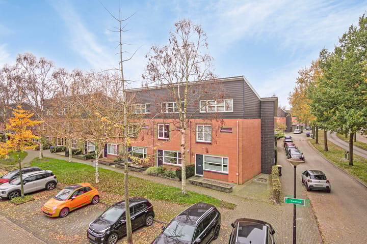 Foto 37 van Dalkruid 4