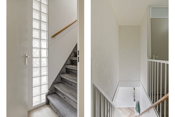 Foto 25 van Dalkruid 4