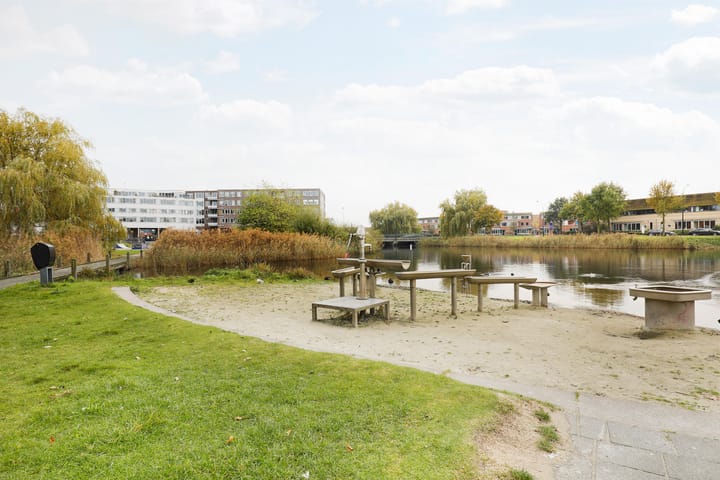 Foto 39 van Dalkruid 4