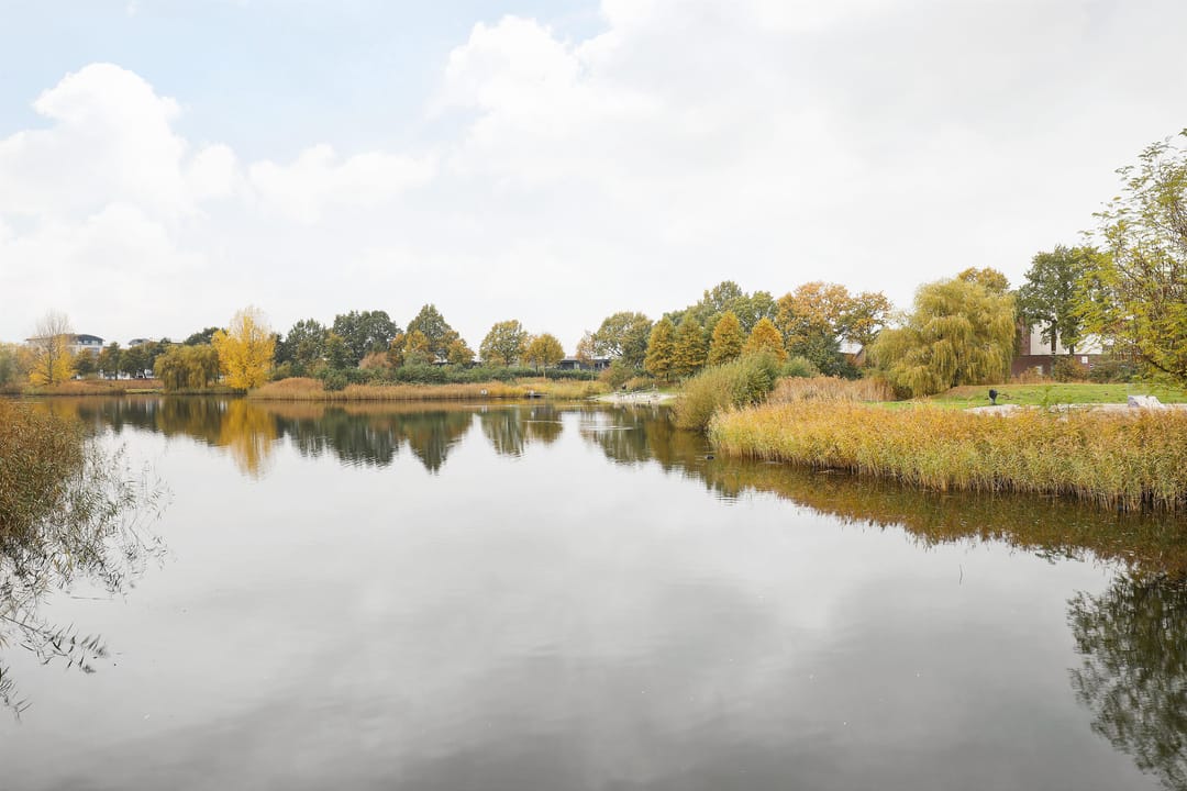 Photo 38 of Dalkruid 4