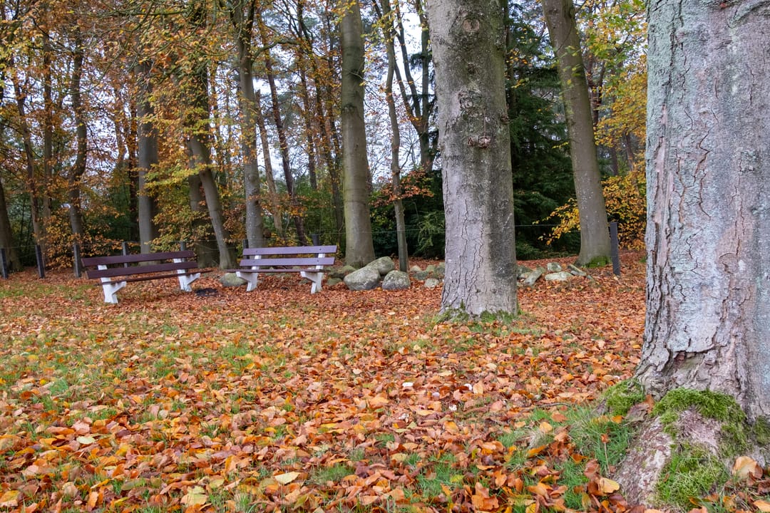 Foto 26 van Meent 98