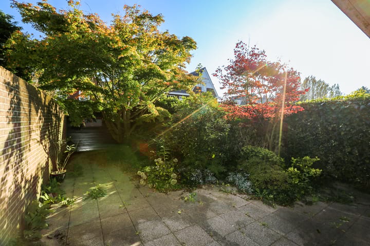 Foto 16 van Westeinde 42