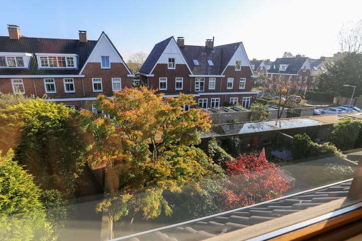 Foto 44 van Westeinde 42