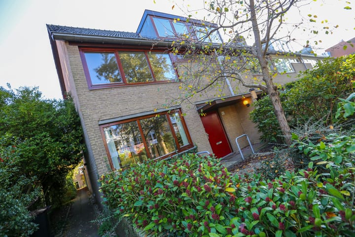 Foto 47 van Westeinde 42