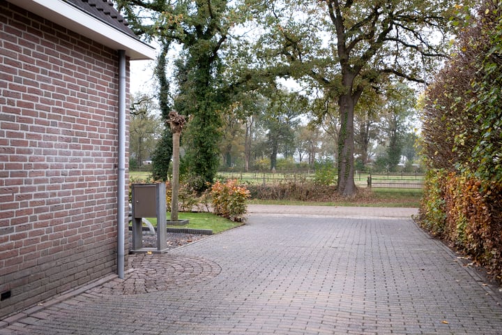 Bekijk foto 56 van Hoefslag 14