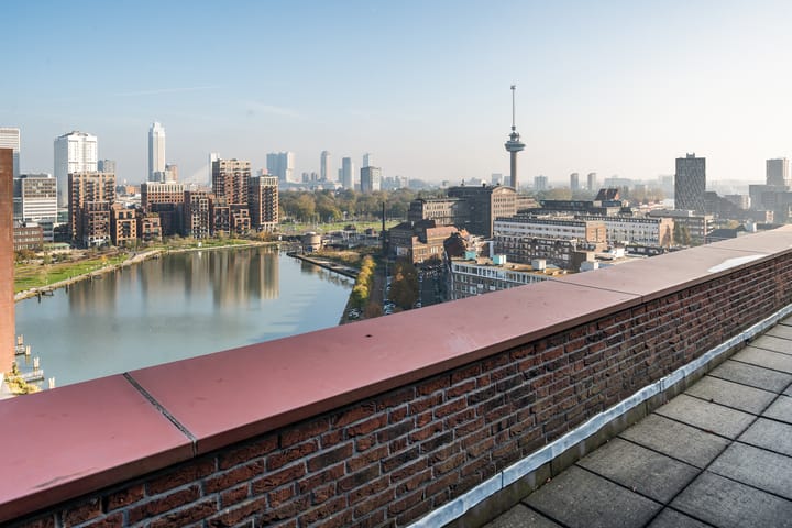 Foto 3 van Coolhaven 555