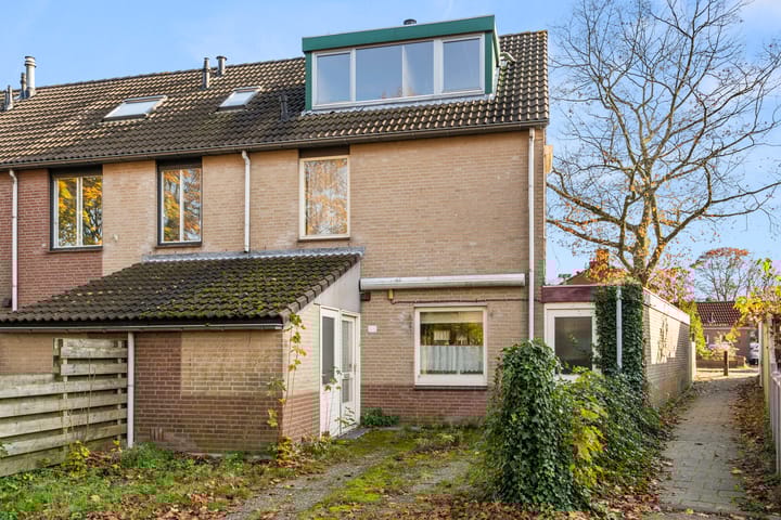 undefined main image
