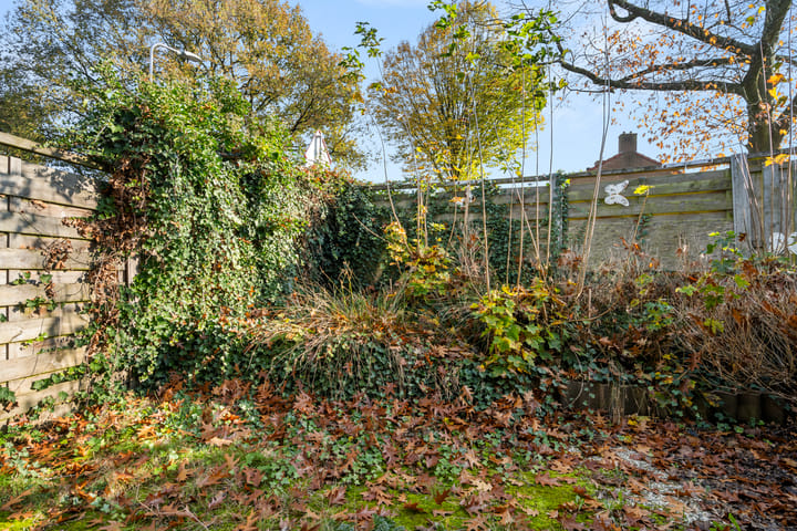 Foto 15 van Vendelier 65