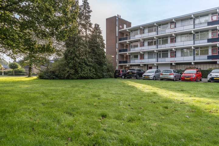 Foto 7 van Johan Willem Frisolaan 24-A