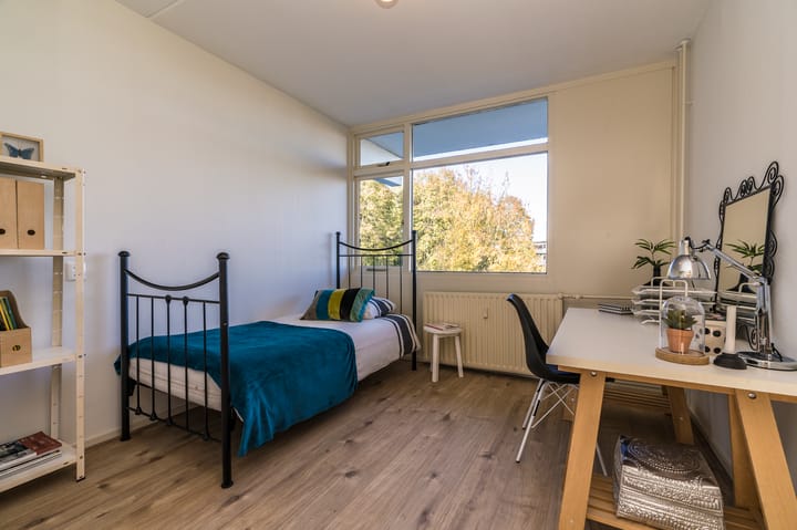 Foto 41 van Johan Willem Frisolaan 24-A