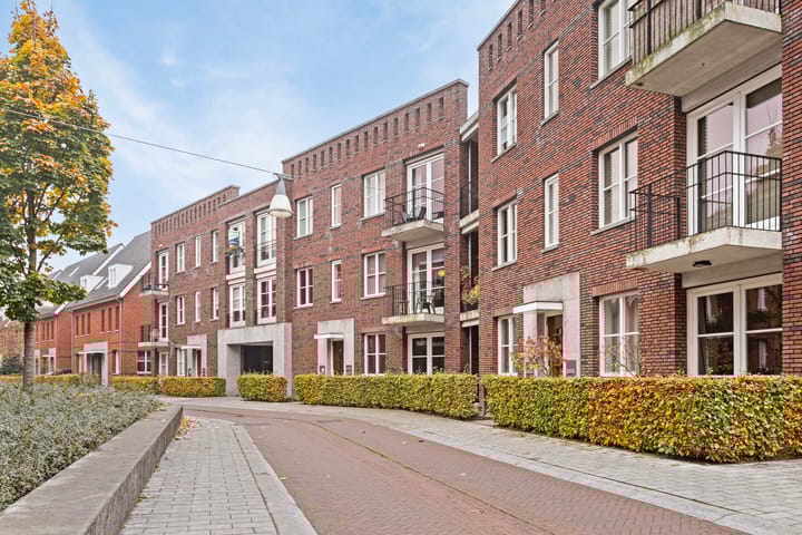 Foto 6 van Oranjebloesem 50