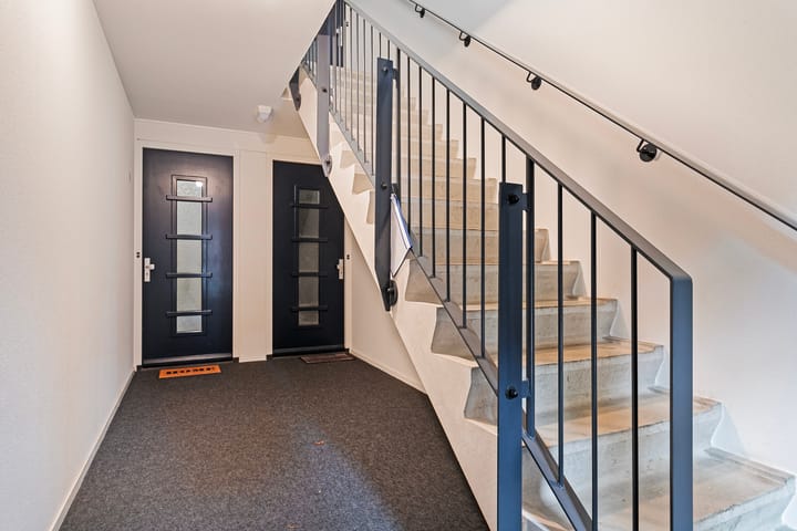 Foto 9 van Oranjebloesem 50