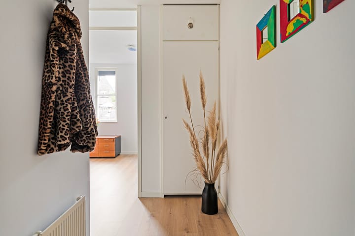 Foto 11 van Oranjebloesem 50