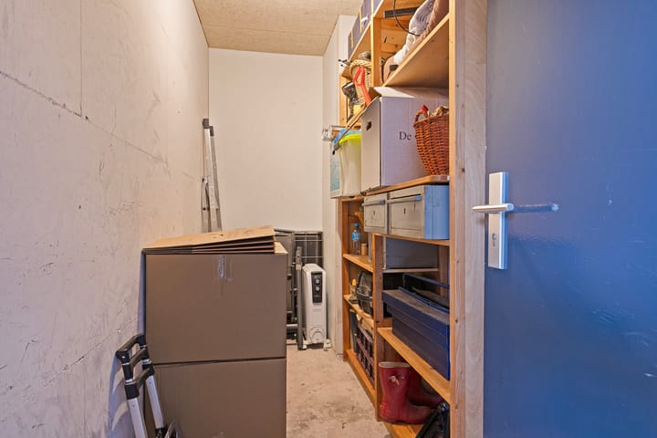 Foto 27 van Oranjebloesem 50