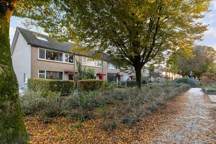 Foto 32 van Kruizemuntstraat 235