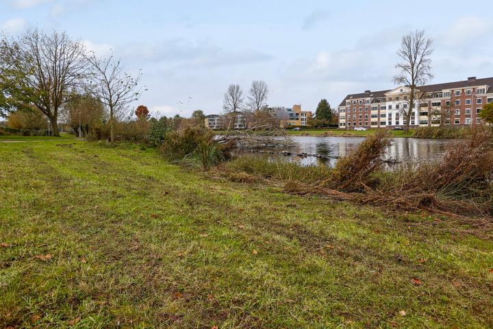 View photo 17 of Diepvoorde 1919