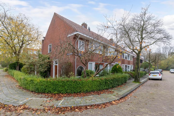 Foto 4 van Johan de Walestraat 2