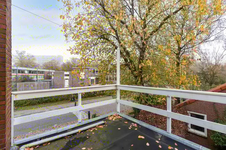 Foto 20 van Johan de Walestraat 2