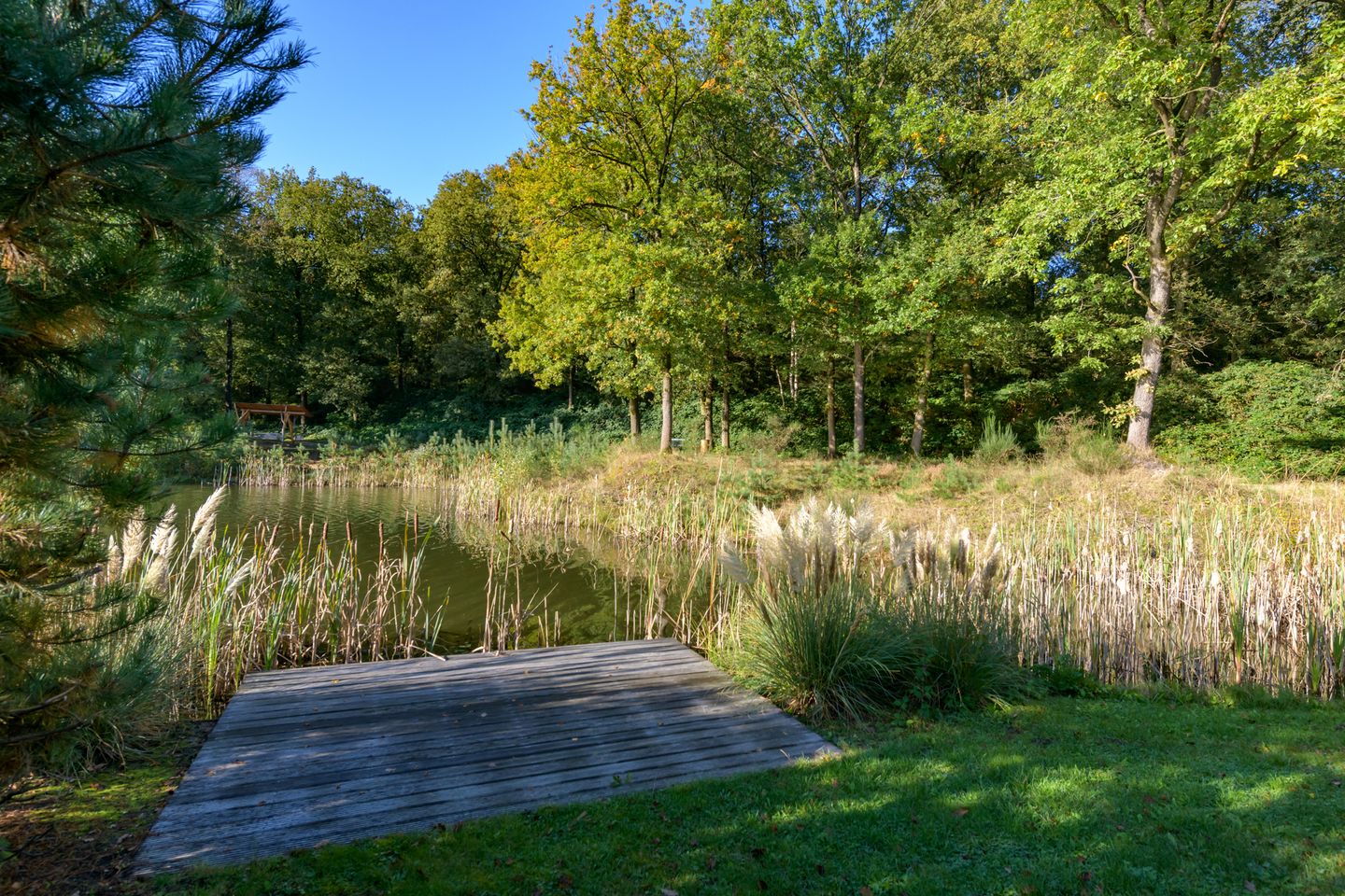 Foto 25 van Kuiltjesweg 44-216