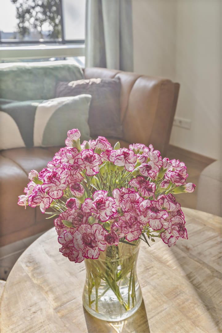 Foto 7 van De Bongerd 43