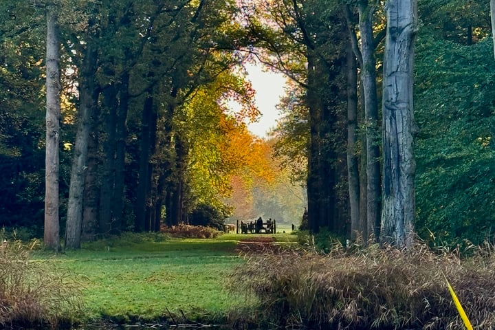 Bekijk foto 49 van J.H.Burgerlaan 22-B