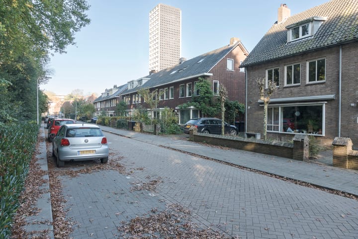 Foto 60 van Plataanstraat 52