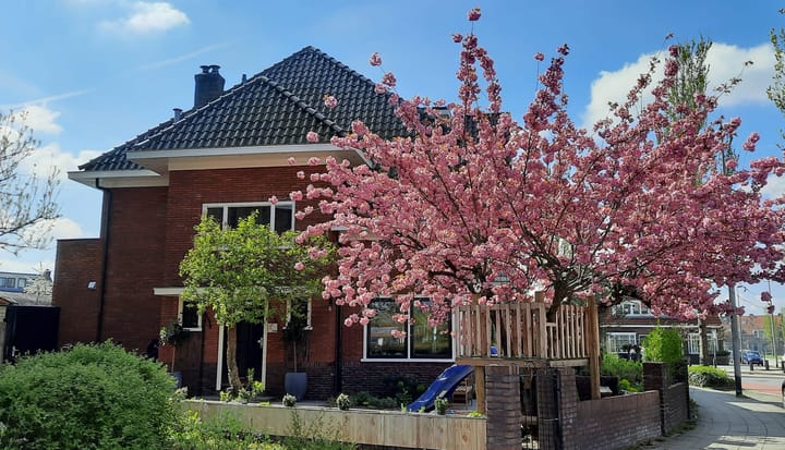 Foto 43 van Diepenveenseweg 208