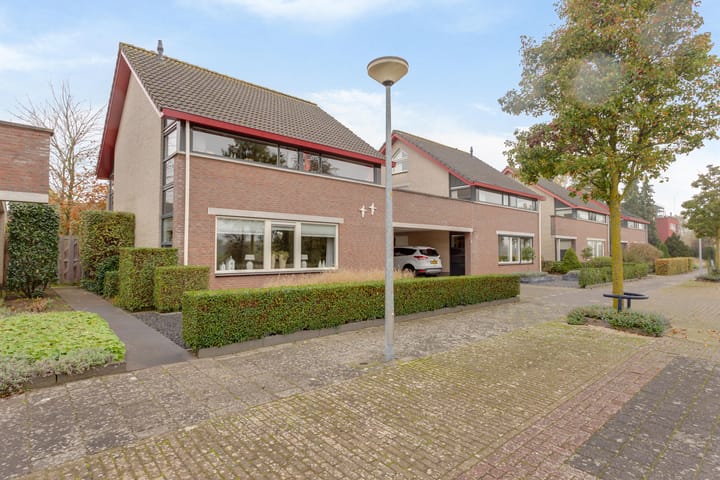 Foto 4 van Tureluur 8