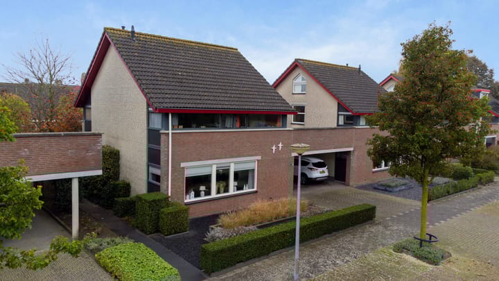 Foto 5 van Tureluur 8