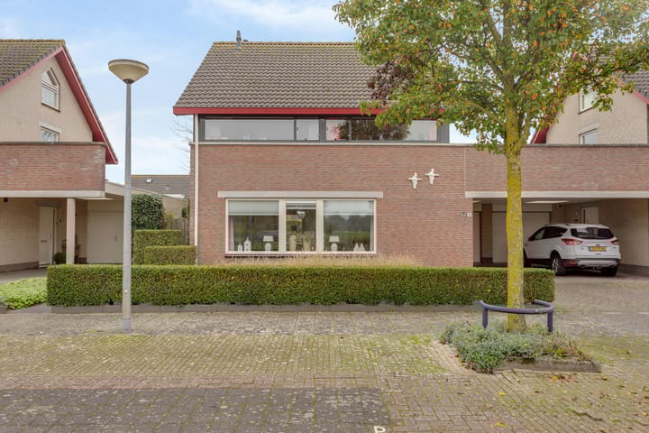 Foto 9 van Tureluur 8