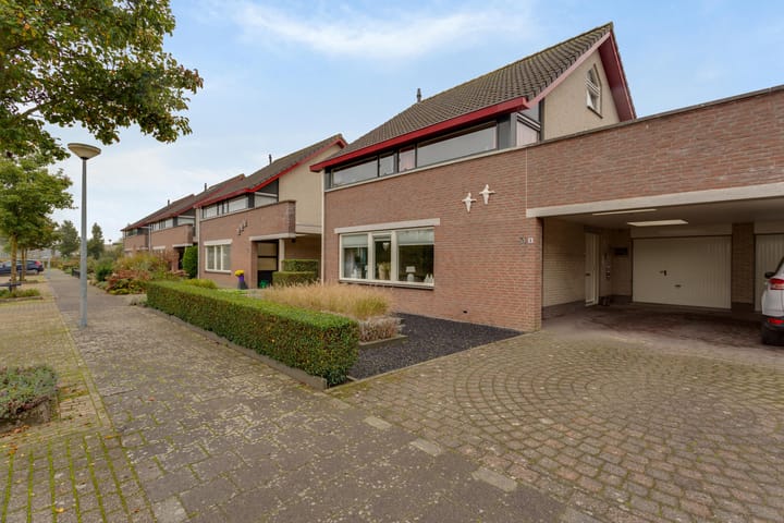 Foto 10 van Tureluur 8