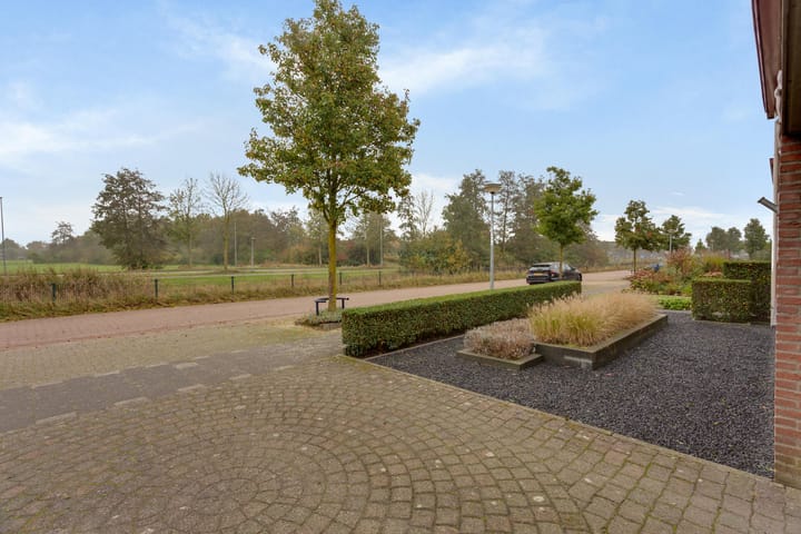 Foto 11 van Tureluur 8