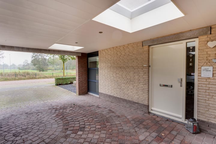 Foto 12 van Tureluur 8