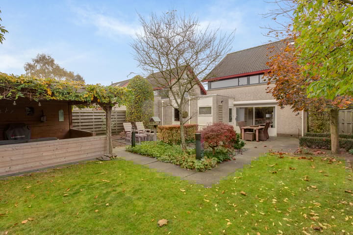 Foto 51 van Tureluur 8