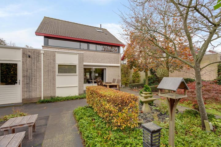 Foto 52 van Tureluur 8