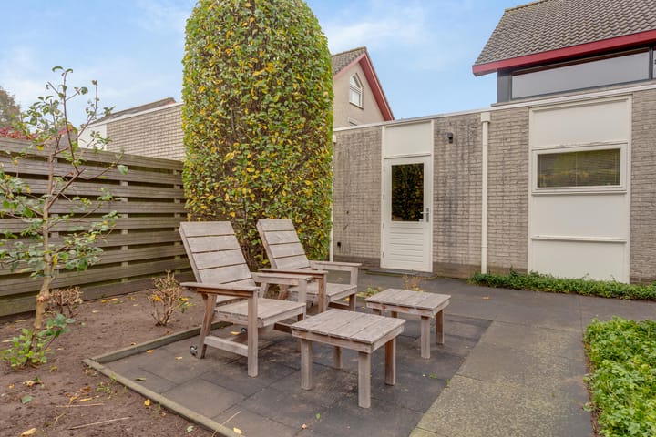 Foto 53 van Tureluur 8