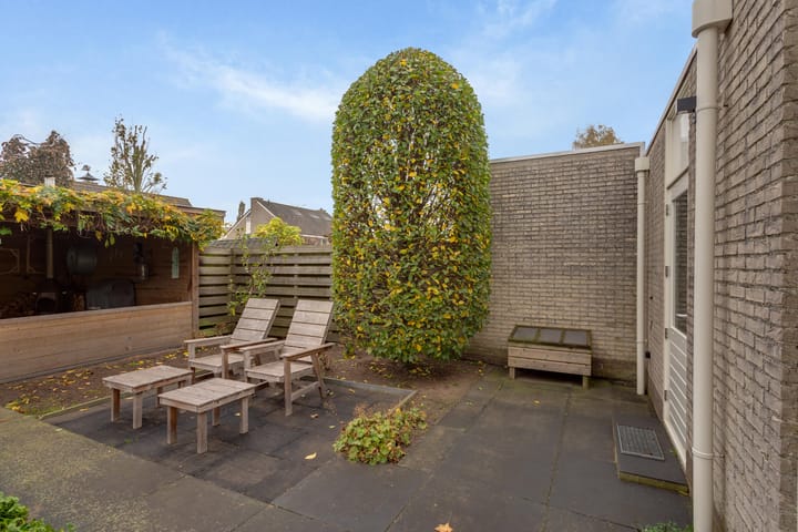 Foto 54 van Tureluur 8