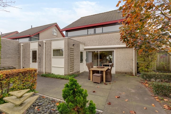 Foto 55 van Tureluur 8