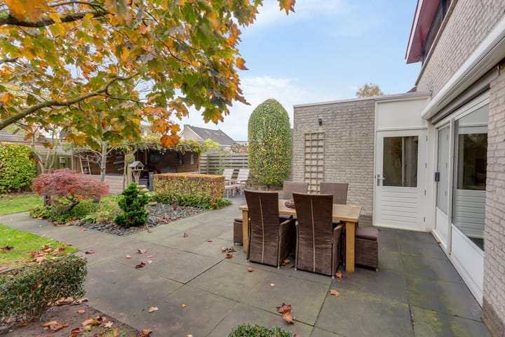 Foto 56 van Tureluur 8