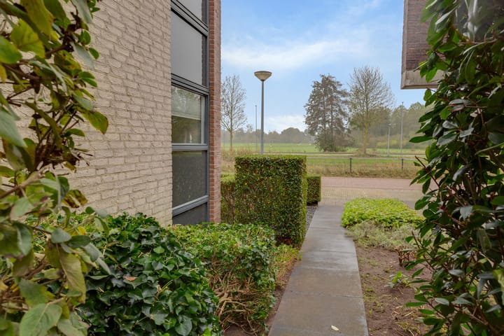 Foto 57 van Tureluur 8