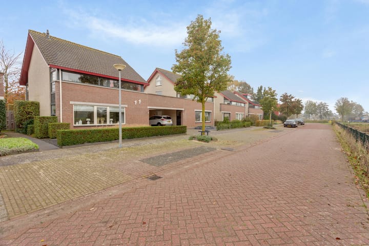 Foto 58 van Tureluur 8