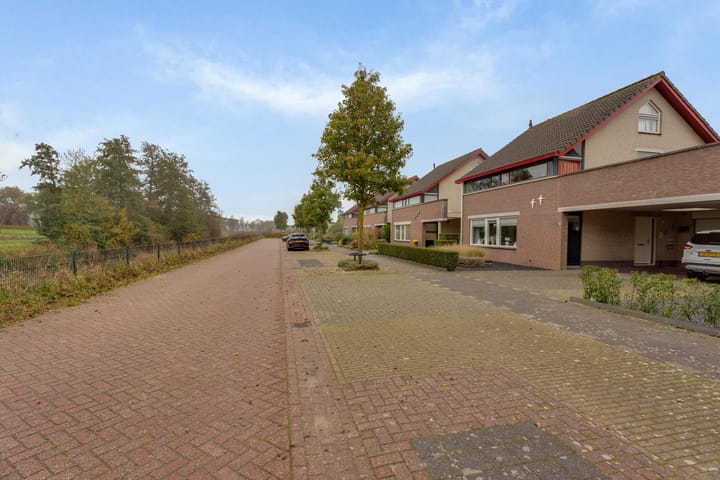 Foto 59 van Tureluur 8